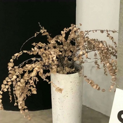 Furry插画光影灵感福瑞群